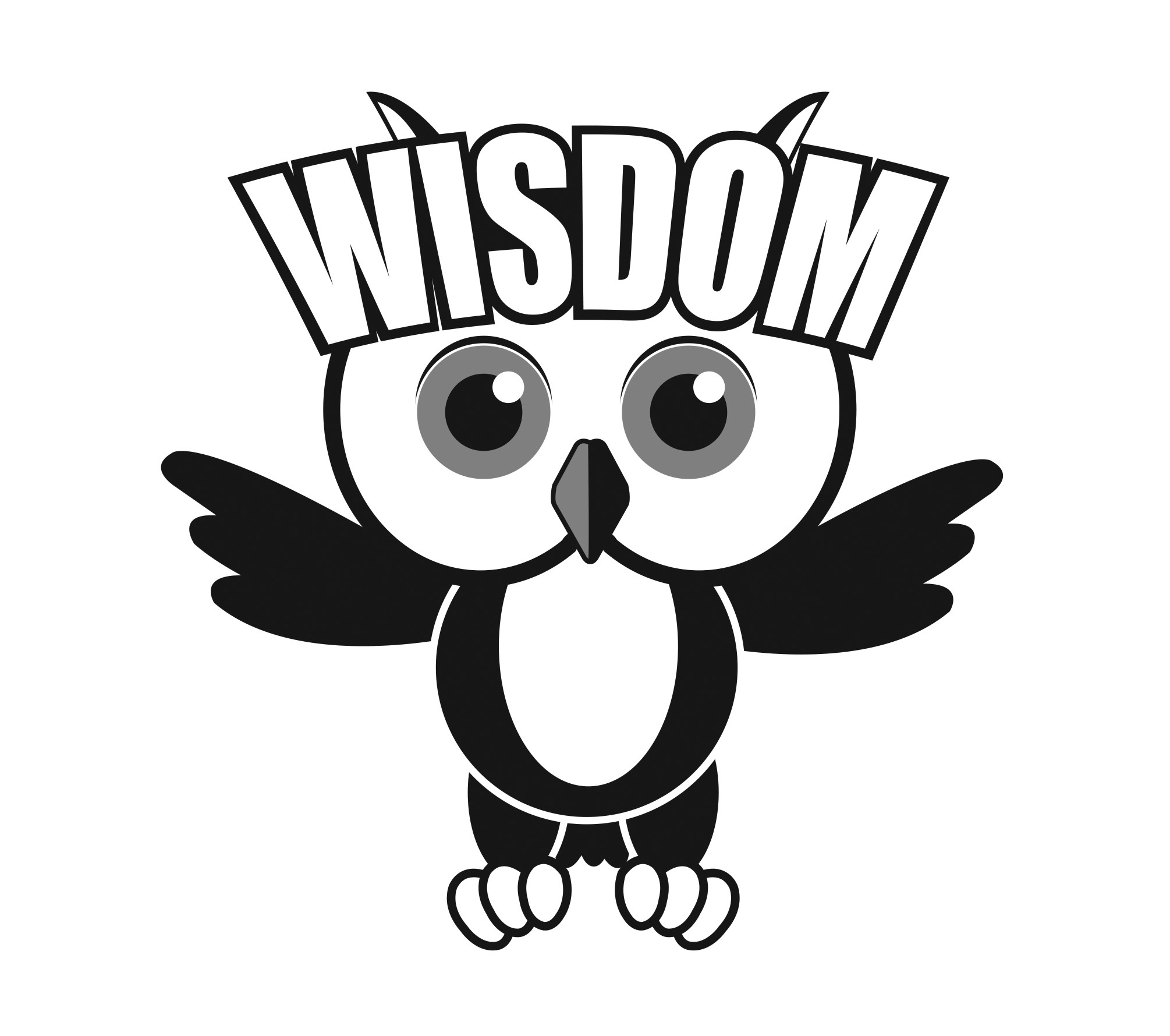 The Wisdom Coach